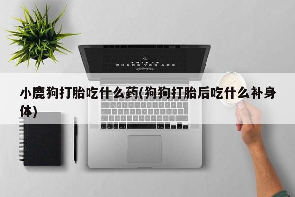 堕胎药微信有谁买微信小鹿狗打胎吃什么药(狗狗打胎后吃什么补身体)
