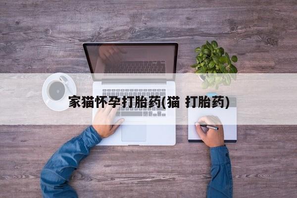 堕胎药微信有谁买微信家猫怀孕打胎药(猫 打胎药)
